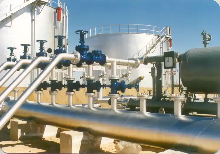 Gas Field Infrastructure Project