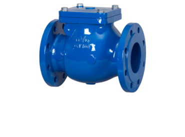 Check Valves